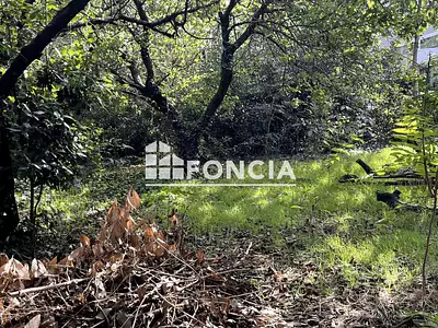 Terrain, 290 m²