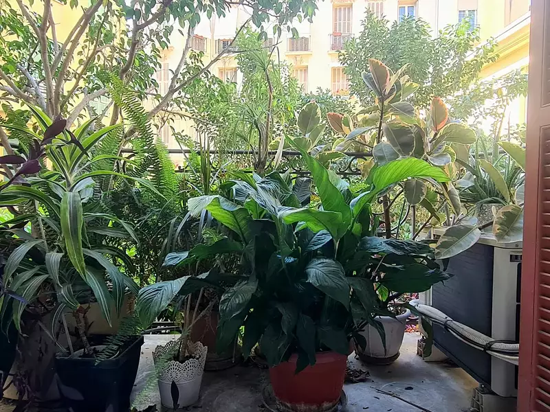 Appartement, 71,81 m²