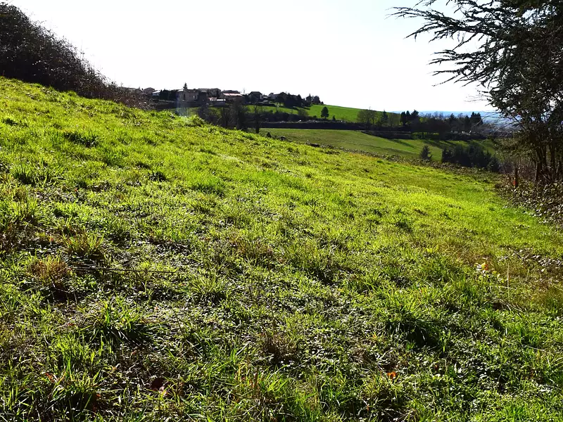 Terrain, 1 245 m²