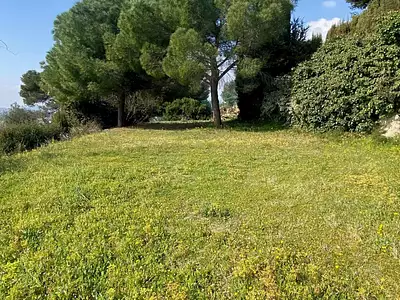 Terrain, 706 m²