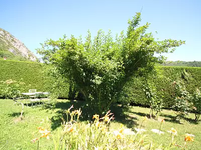 Maison, 183 m²