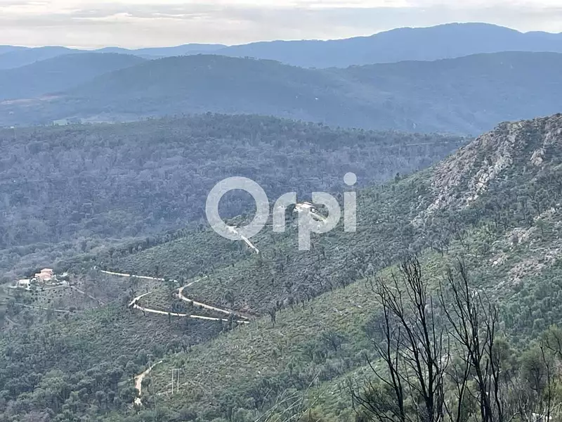 Terrain, 120 000 m²