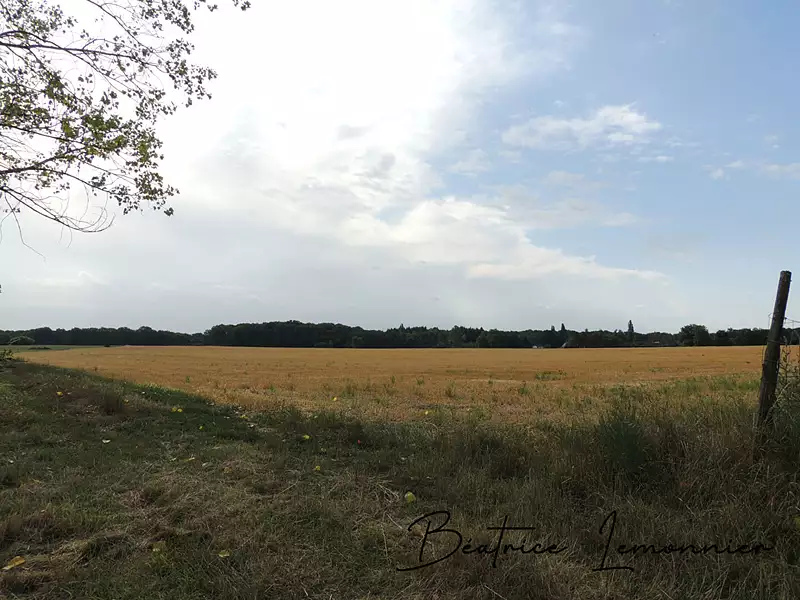 Terrain, 3 460 m²