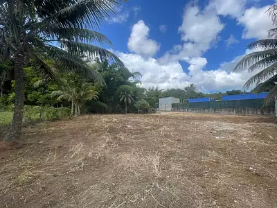 Terrain, 1 534 m²