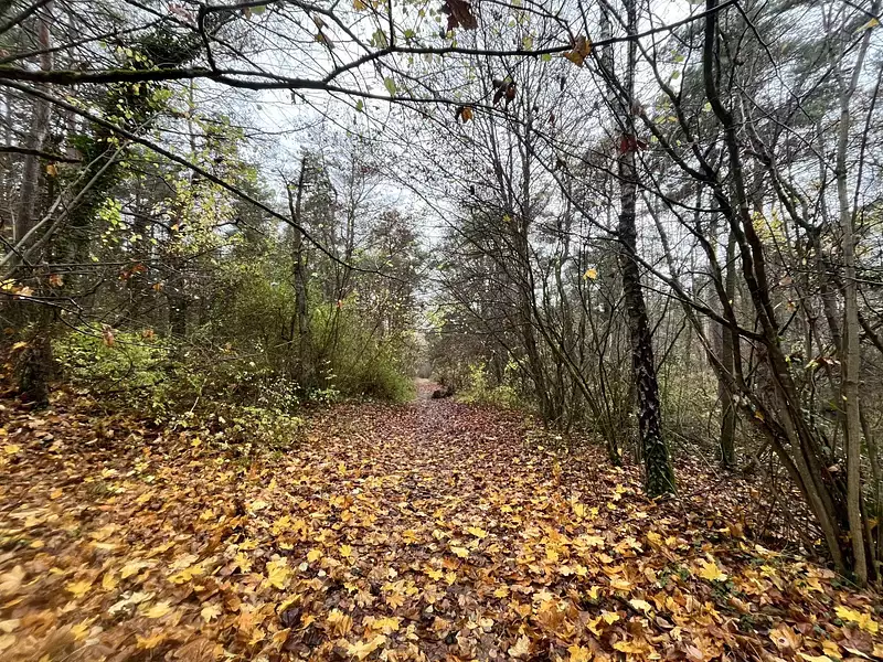 Terrain, 108 475 m²