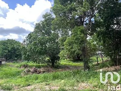 Terrain, 5 950 m²