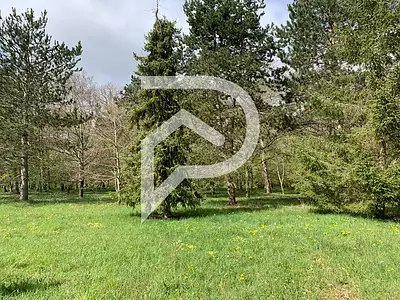 Terrain, 11 780 m²