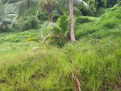 Terrain, 1 070 m²