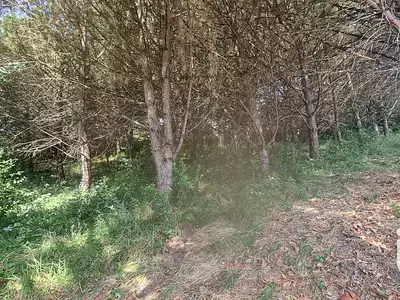Maison, 128 m²