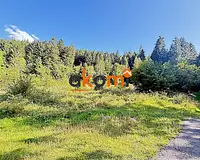 Terrain, 10 875 m²
