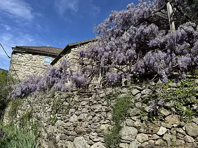 Maison, 138 m²