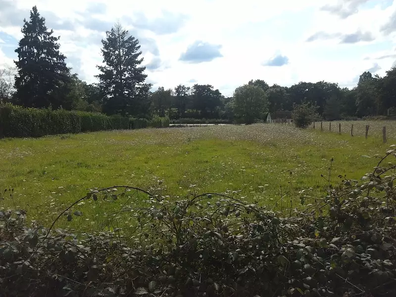 Terrain, 2 500 m²