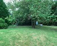 Terrain