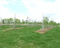 Terrain, 458 226 m²