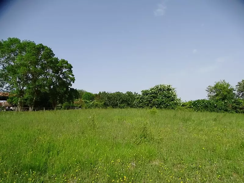 Terrain, 1 400 m²