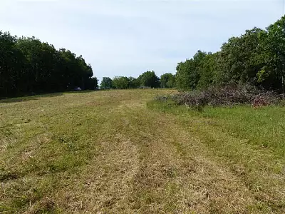 Terrain, 1 365 m²