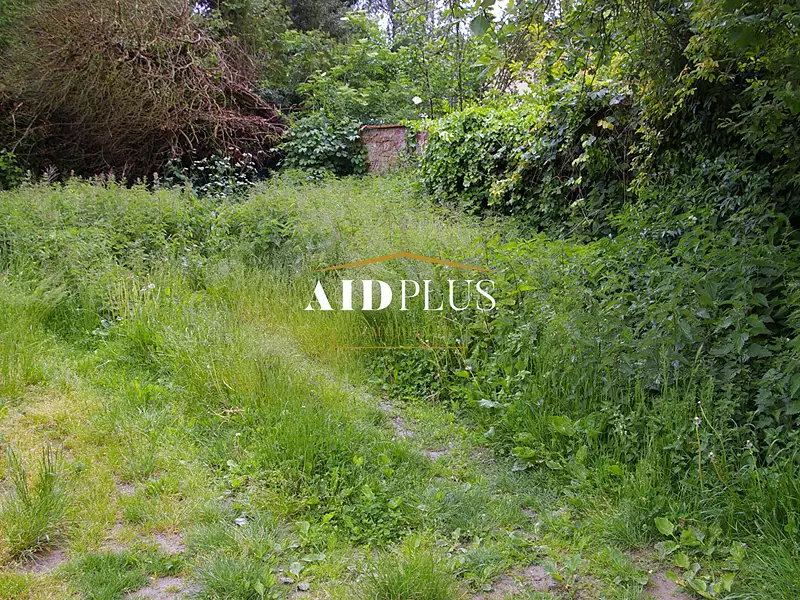 Terrain, 300 m²