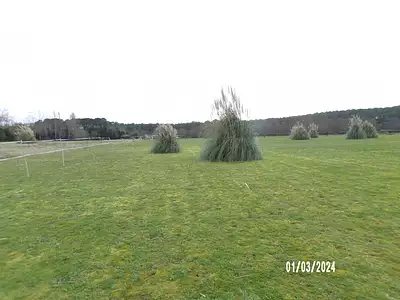 Terrain, 4 165 m²