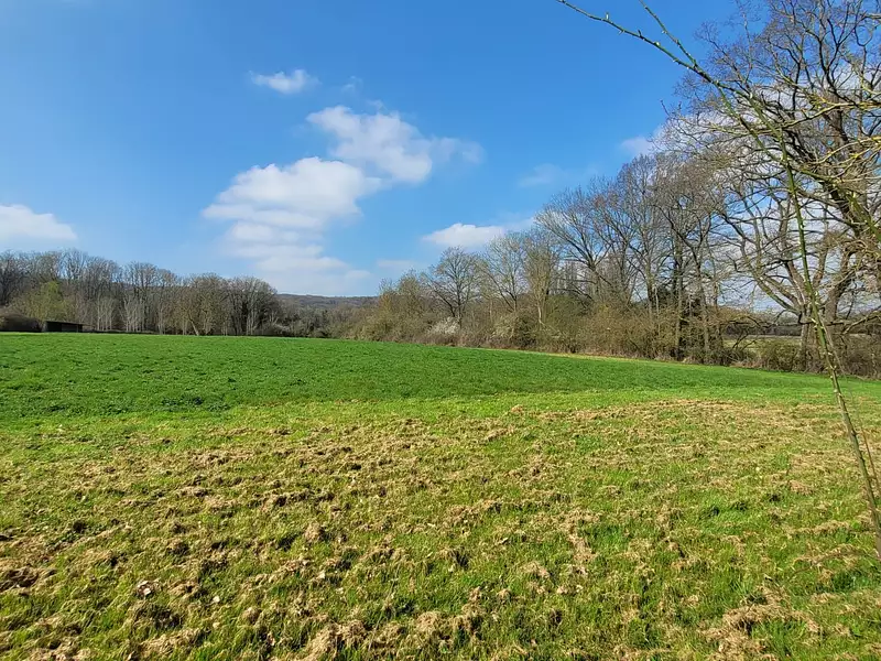 Maison, 285 m²
