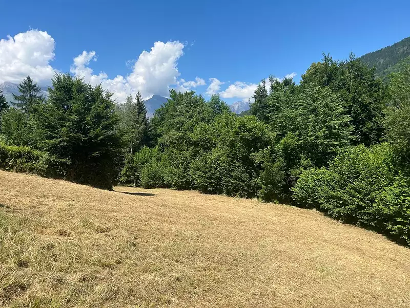 Terrain