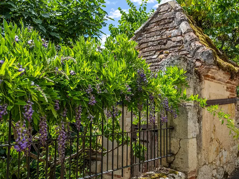 Maison, 275 m²