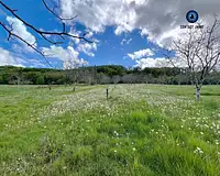 Terrain, 12 890 m²