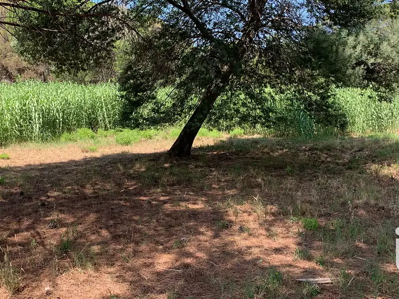 Terrain, 2 559 m²