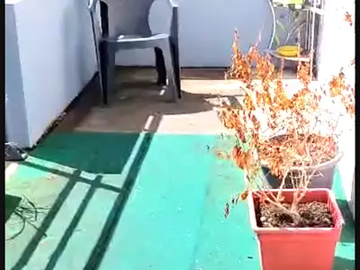 Appartement, 39,27 m²