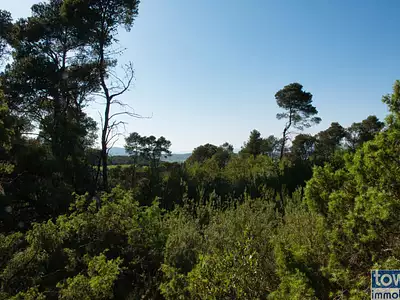 Terrain, 42 302 m²