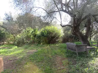 Maison, 78,03 m²