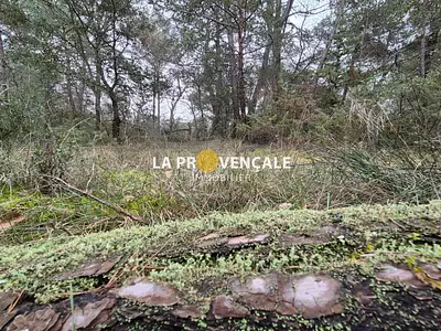 Terrain, 2 315 m²