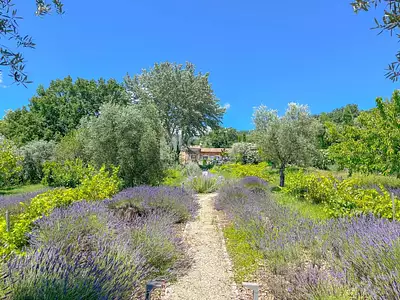 Maison, 250 m²