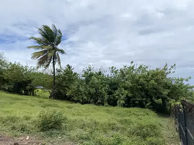 Terrain, 921 m²