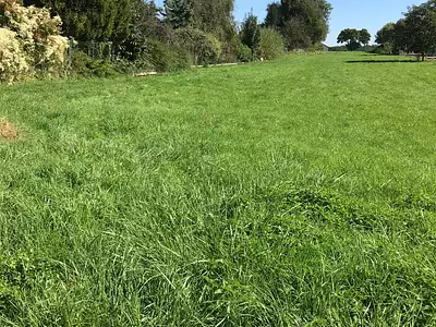 Terrain, 2 419 m²