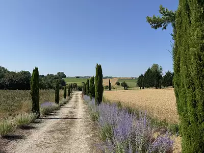 Maison, 445 m²