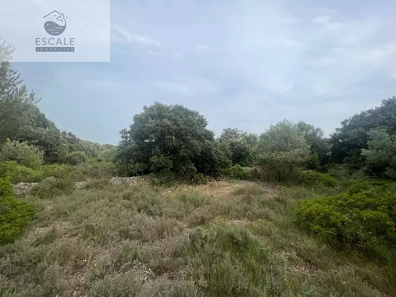 Terrain, 6 091 m²
