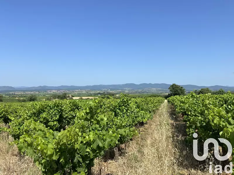 Terrain, 58 175 m²