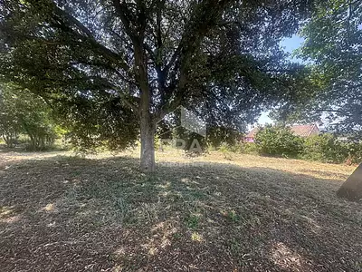 Terrain, 1 254 m²