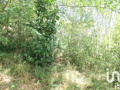 Terrain, 1 288 m²