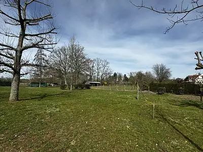 Terrain