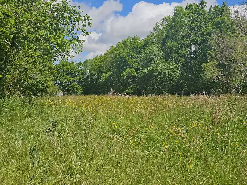 Terrain, 5 181 m²