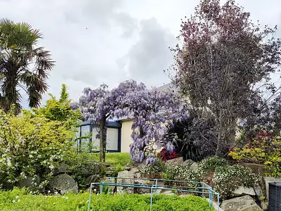 Maison, 220 m²