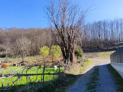 Terrain, 1 004 m²