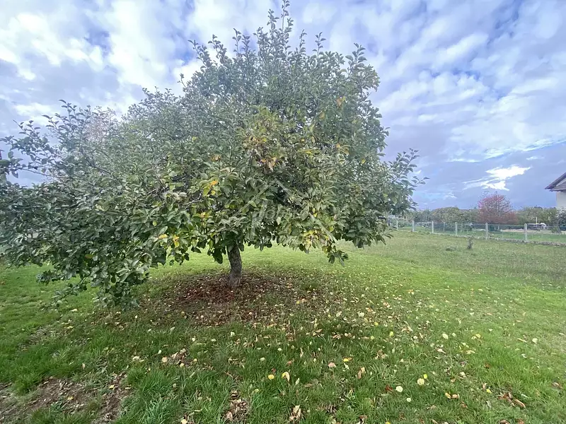 Terrain, 869 m²
