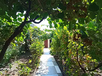 Maison, 77 m²