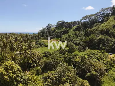 Terrain, 11 990 m²