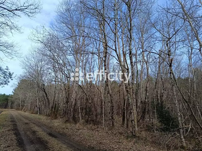 Terrain, 7 300 m²