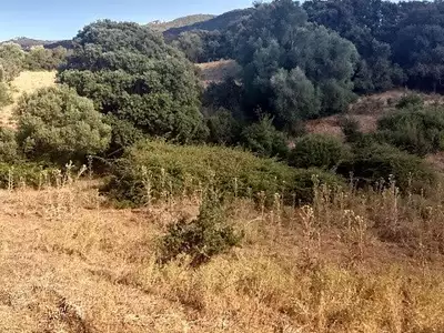 Terrain, 2 900 m²