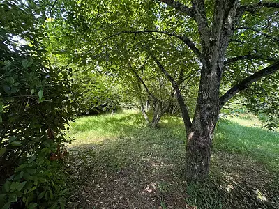 Maison, 267 m²