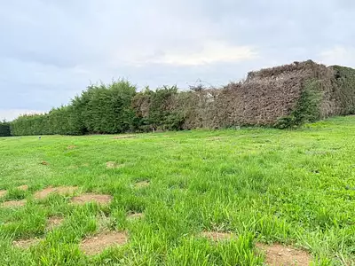 Terrain, 916 m²